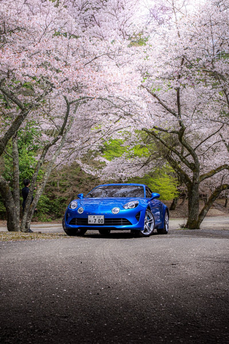 ピヌガヌ tweet media