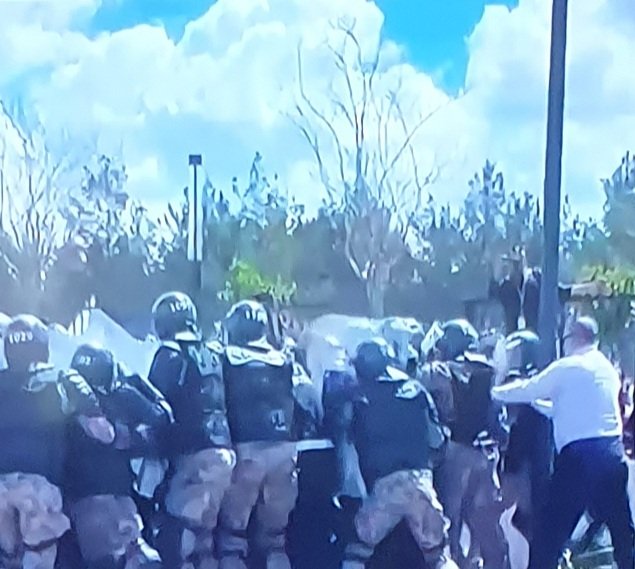 AliTekmann tweet media