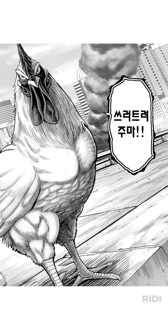 부랄킹슈타인 tweet media