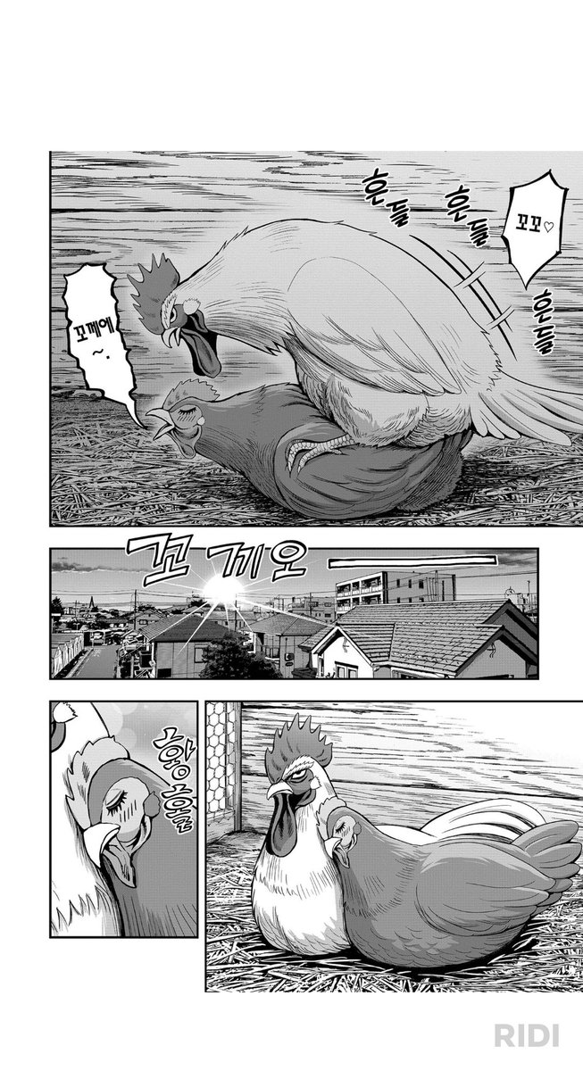 부랄킹슈타인 tweet media