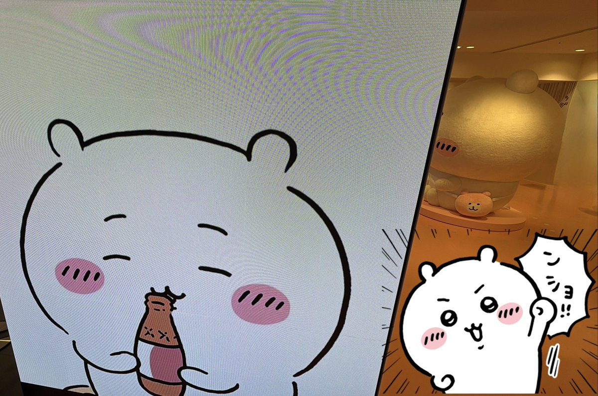 まめゴマ旦那 tweet media