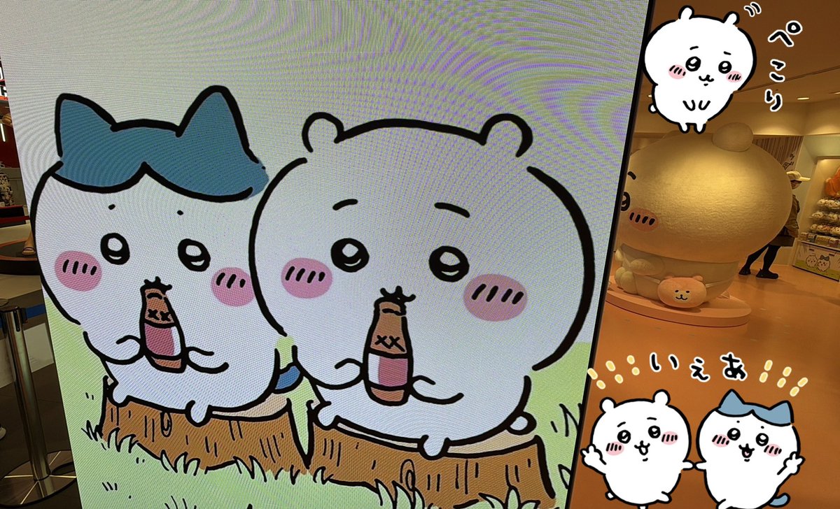 まめゴマ旦那 tweet media