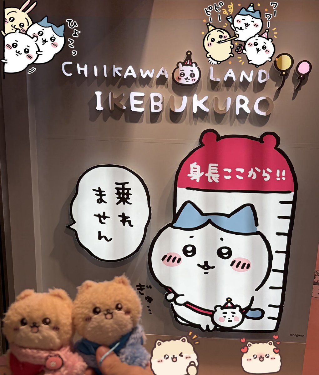 まめゴマ旦那 tweet media