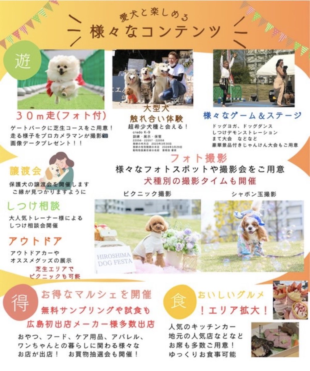 つー坊🍊 tweet media