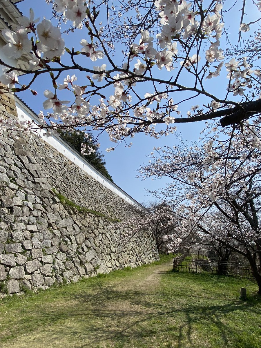 Jonathan Hiro tweet media