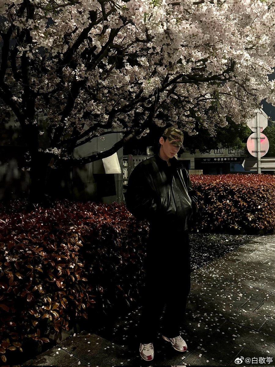 hourly bai jingting tweet media