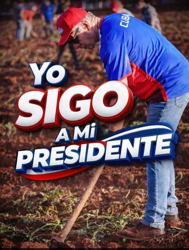 En la imagen lo vemos participando en trabajo voluntario en el campo, una práctica histórica dentro del proceso revolucionario cubano, vinculada al esfuerzo colectivo y la producción de alimentos.
#YoSigoAMíPresidente