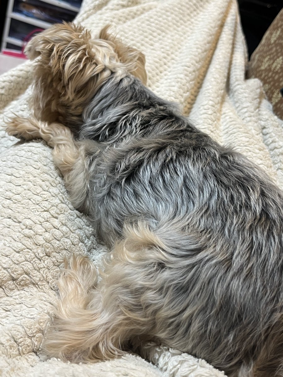 ちゃみ tweet media