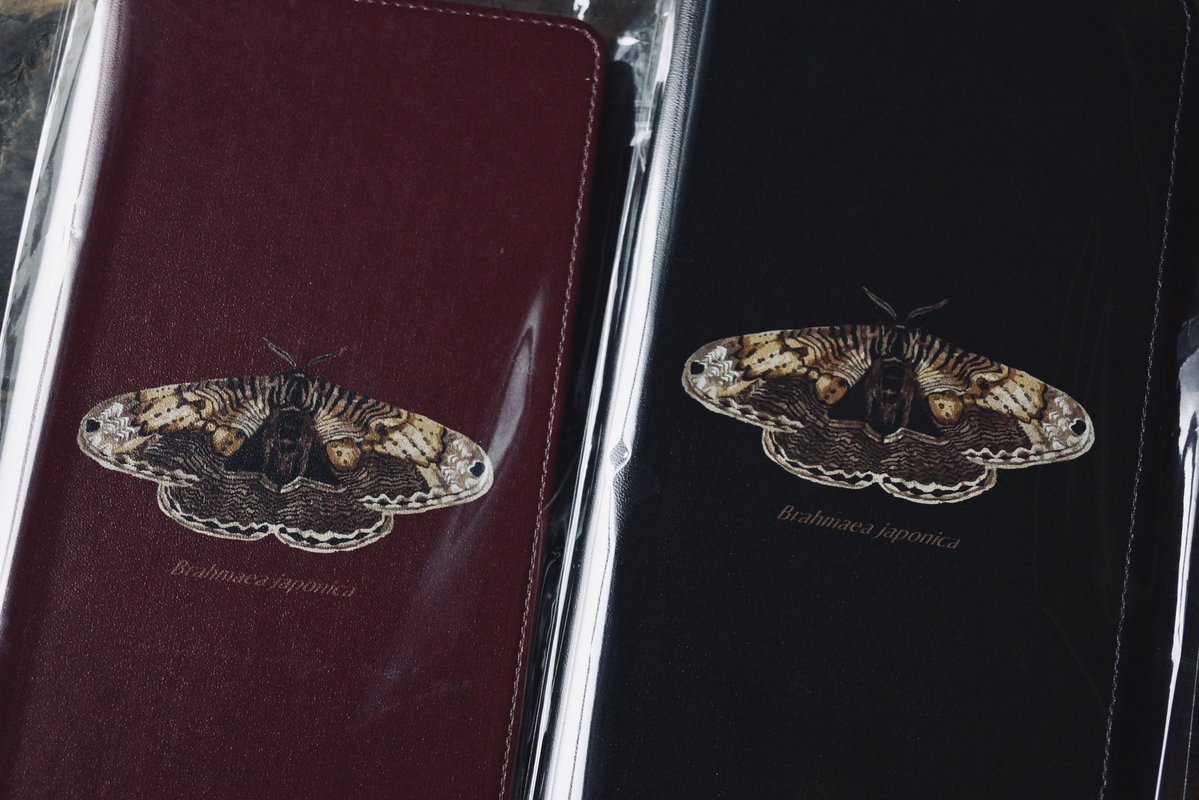 昆蟲菓舗 灯螂舎(トウロウ舎) tweet media