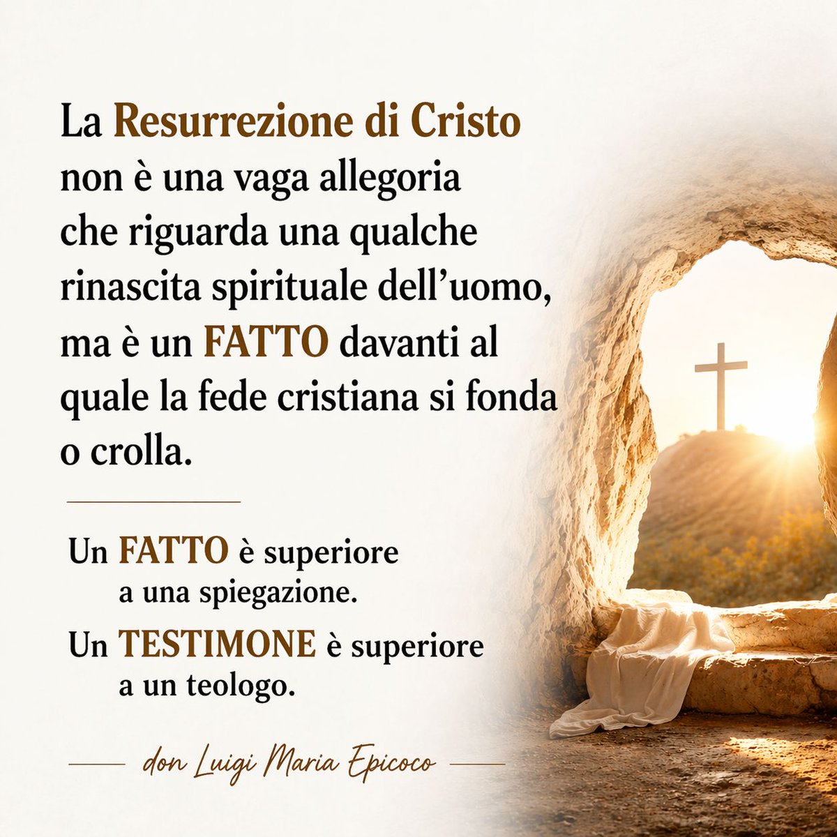 Maria De Sena (@mariadesena1966) on Twitter photo 