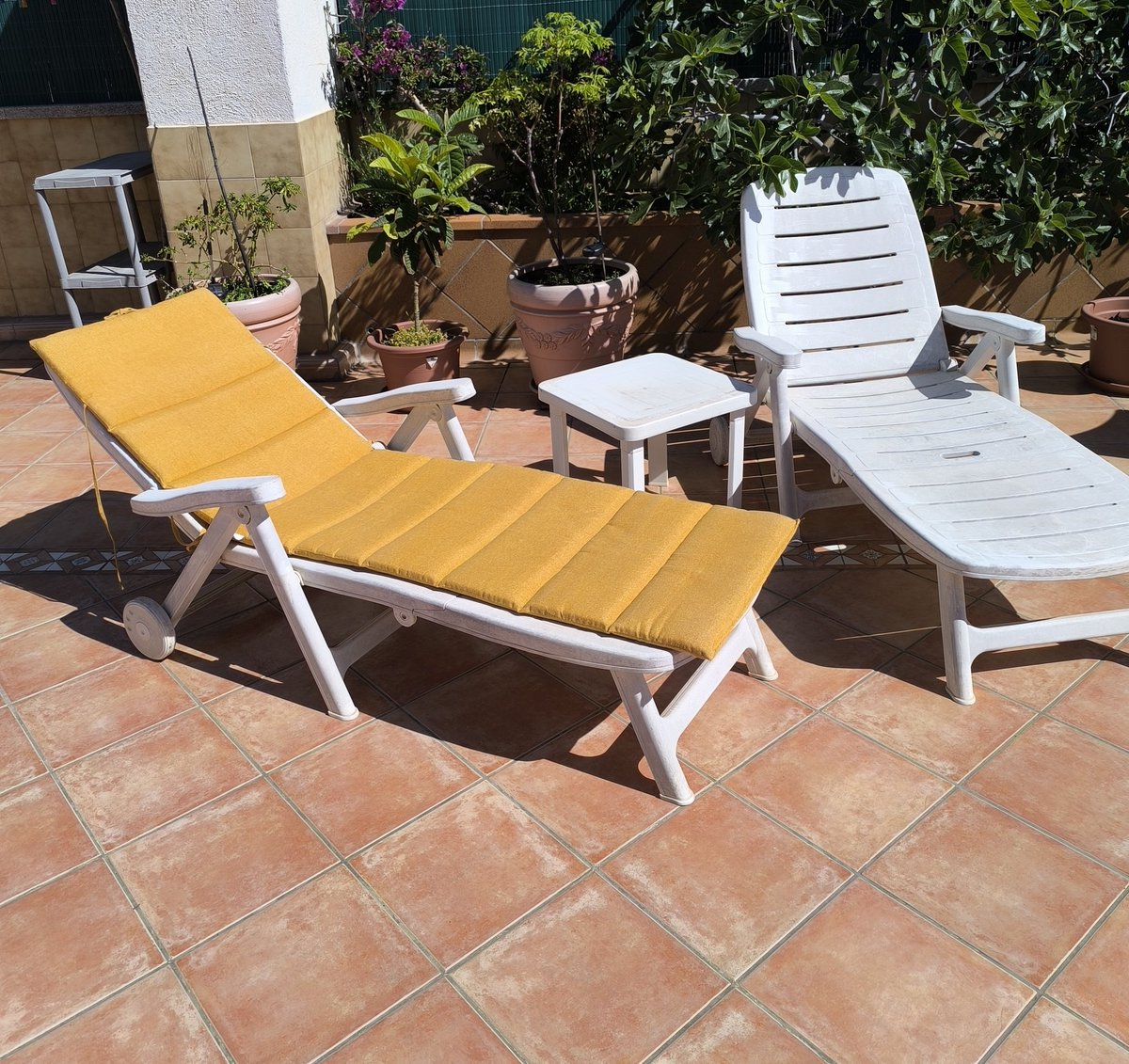 Tengo una libre ¿Vienes?