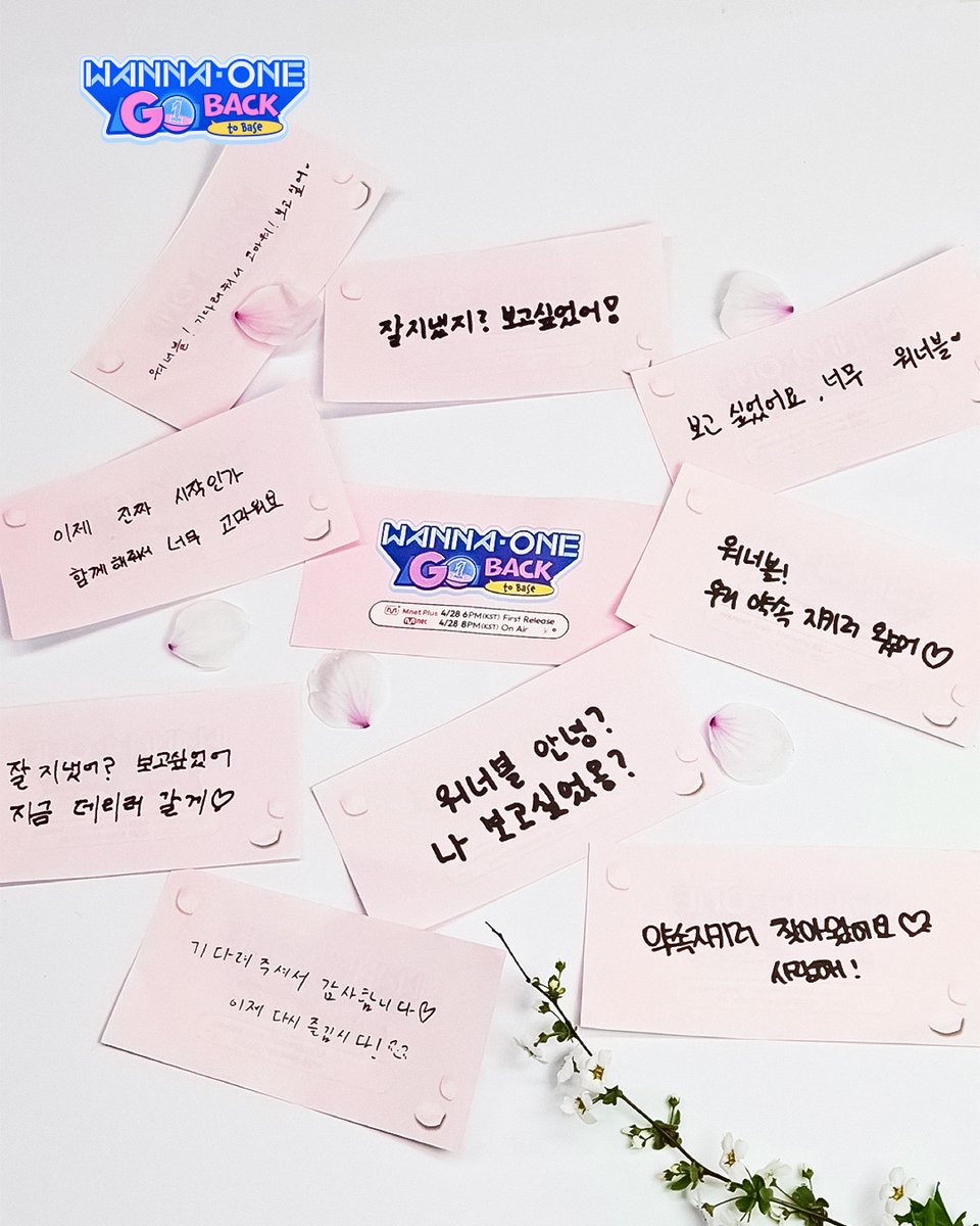 Mnet Plus Original tweet media