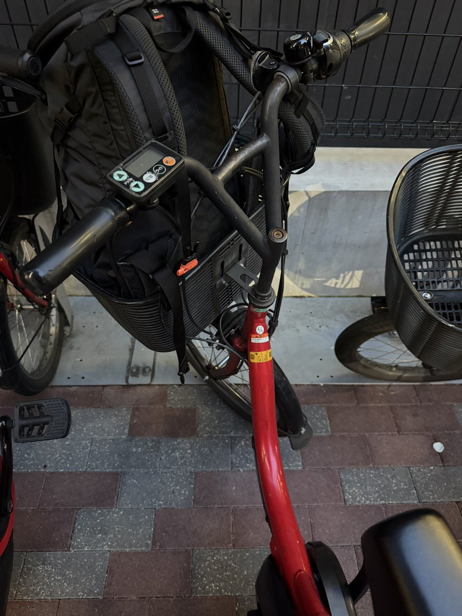 はなぴ🍡ピクミンあんこ部⭐️ tweet media