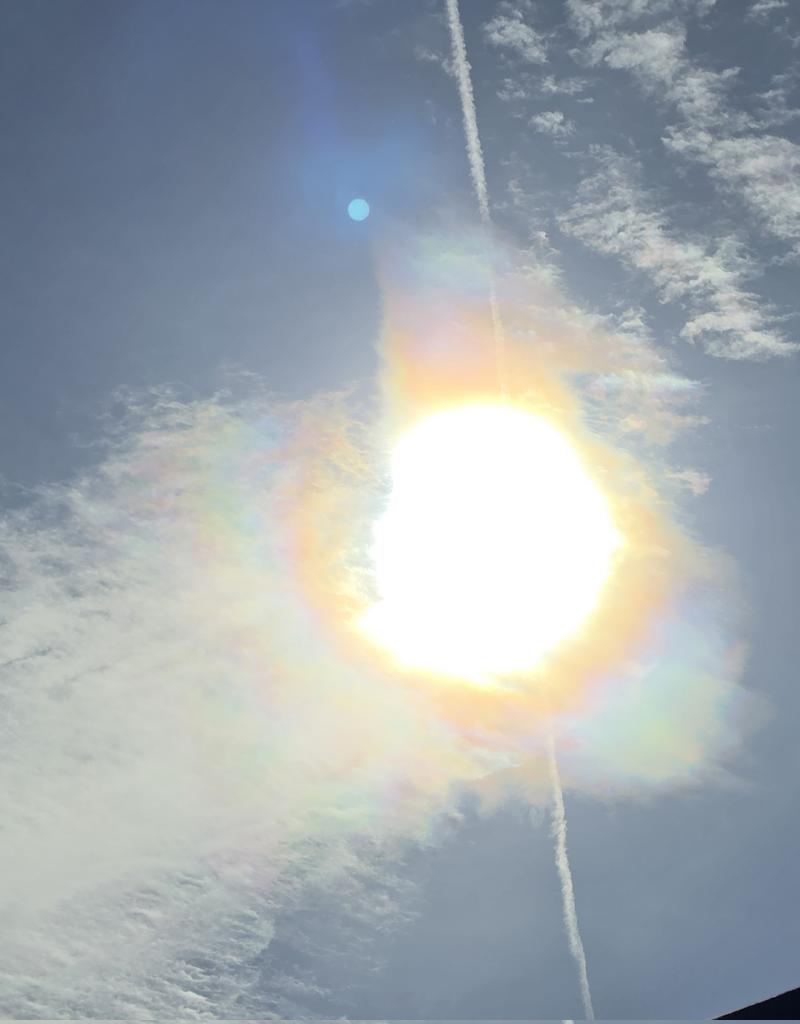 Anti Lockdown Alliance(GLOBAL) tweet media