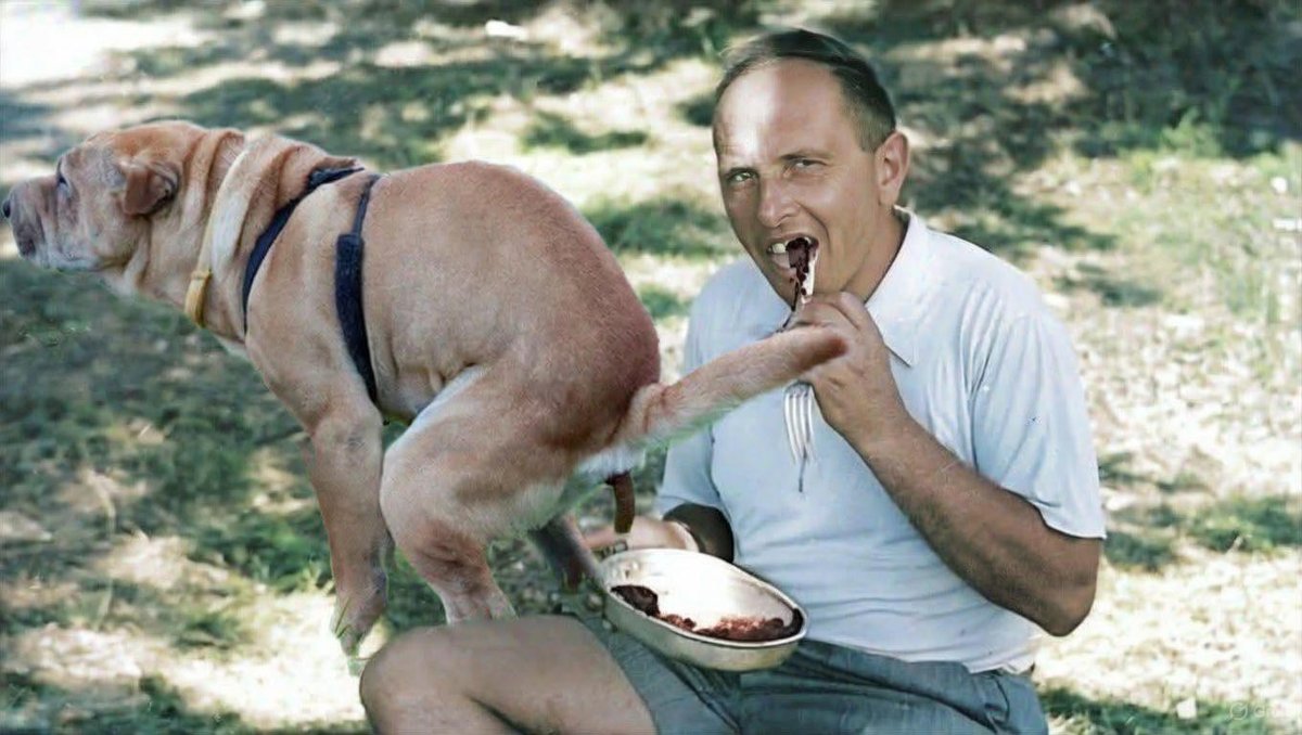 Leśna Żabka tweet media