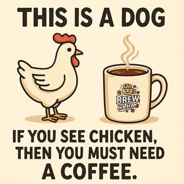 SASSYCHICK tweet media