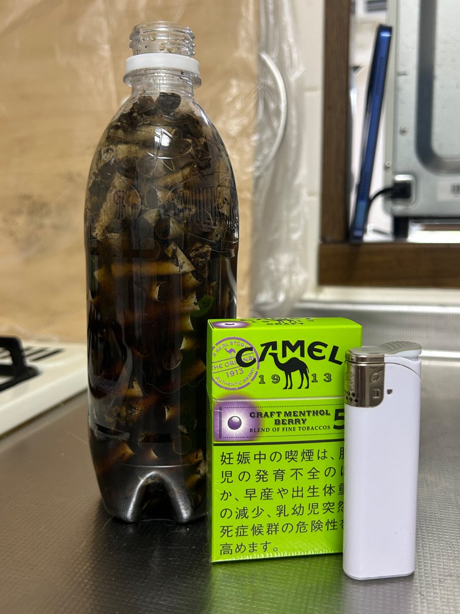 水久良 かなる🌈🪼@拾い食いVTuber tweet media