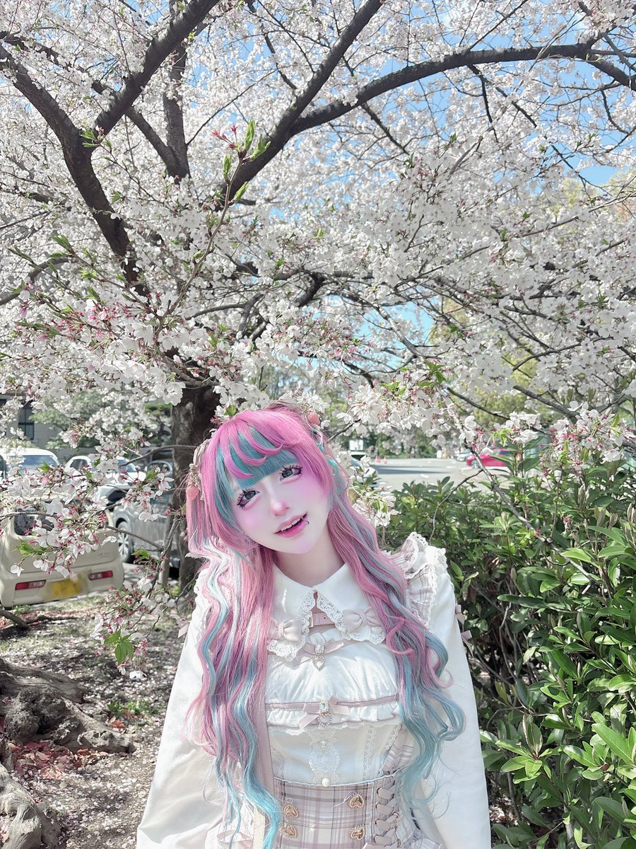 ミニトマト食べたい (@chuu_die) / Posts / X