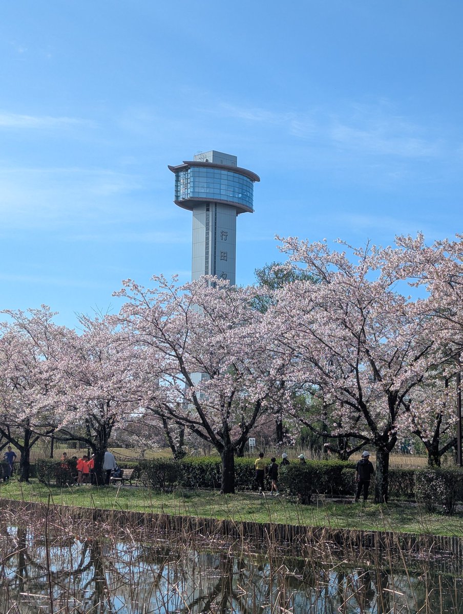 ogurasuguru's tweet photo. 久しぶりにハーフマラソン走ってきました。
行田鉄剣マラソン、桜がきれいでした！！
無理しないペースで走ってきましたが、もうちょっと頑張ってもよかったかも💦
衰えも感じつつ、これからも頑張ります！ https://t.co/41pmb56idR