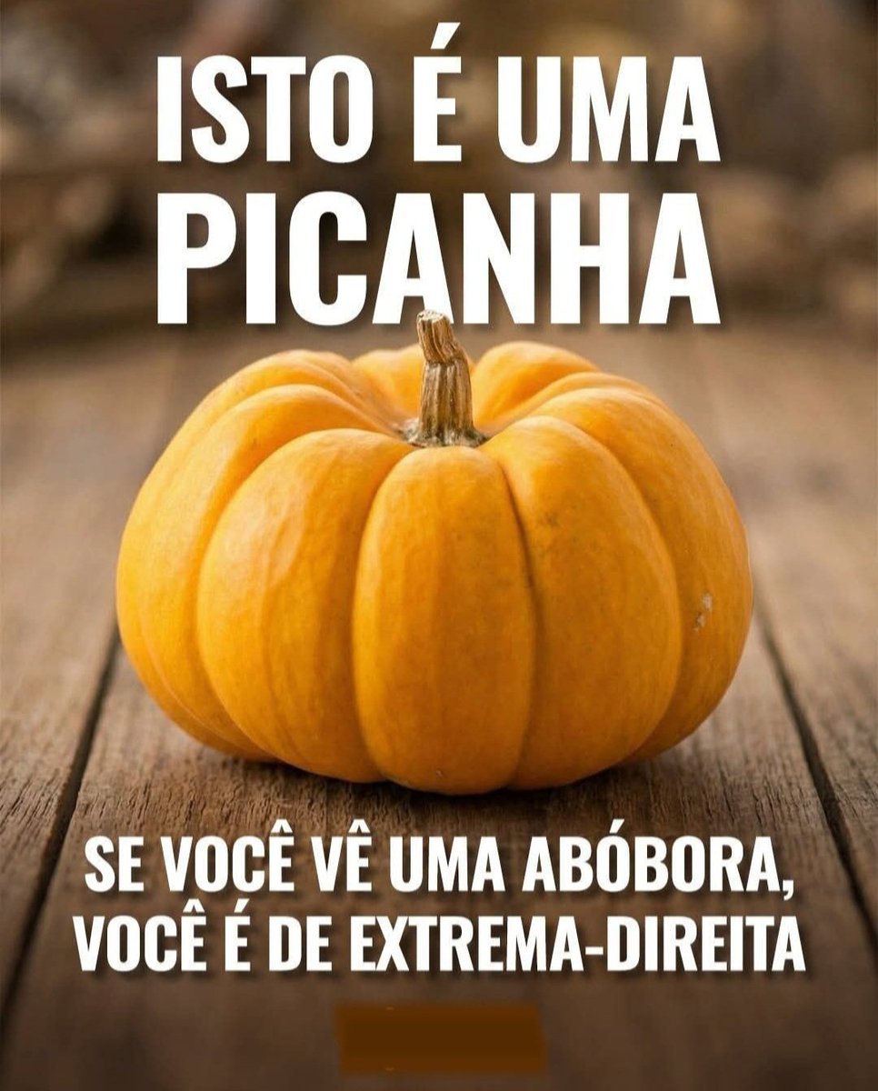 zévoltando tweet media