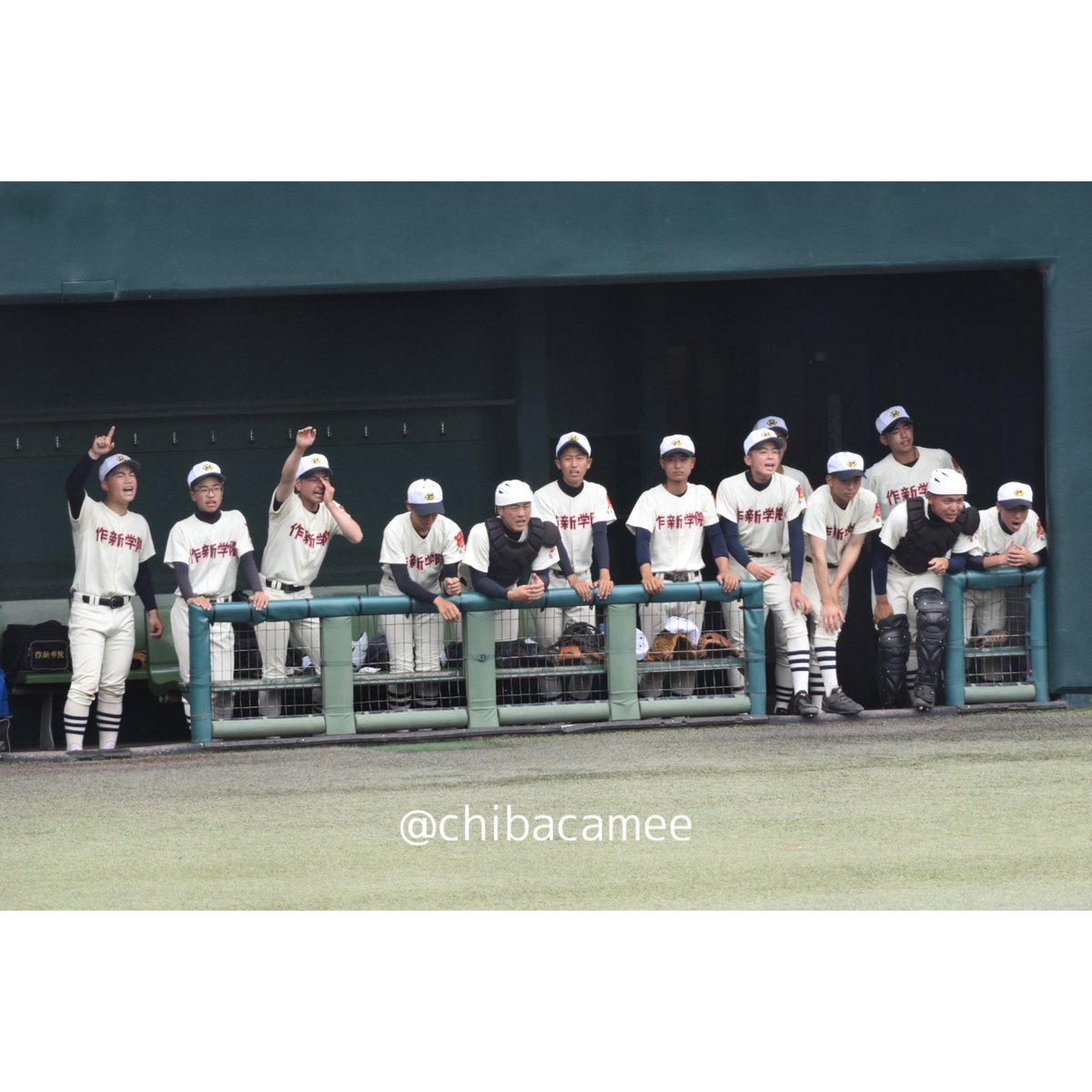chibacamera's tweet photo. ・

2022.05.31

三浦学苑 vs 作新学院

春季関東大会 準決勝🌸

((遅くなりすぎてすみません。

 #作新学院 #軟式野球 #高校野球 #野球 #d5500 https://t.co/7yFnhQ5sox