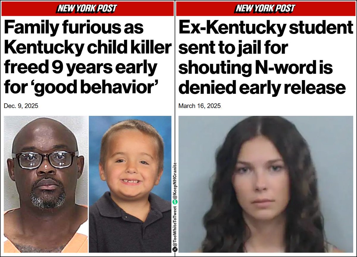 Into the Memory Hole tweet media