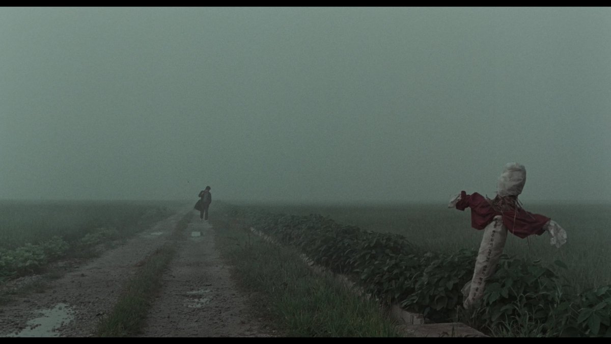 Cinema Scene tweet media