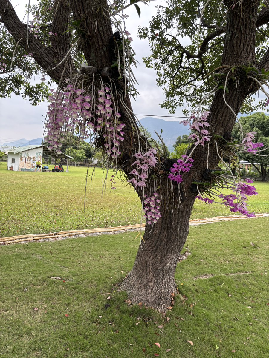 しゃがとく tweet media