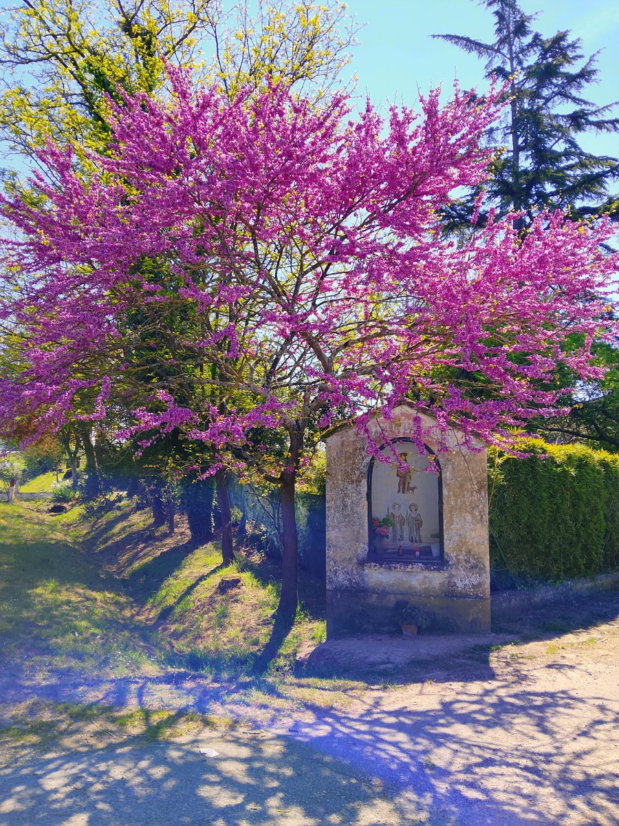 loris fratarcangeli tweet media