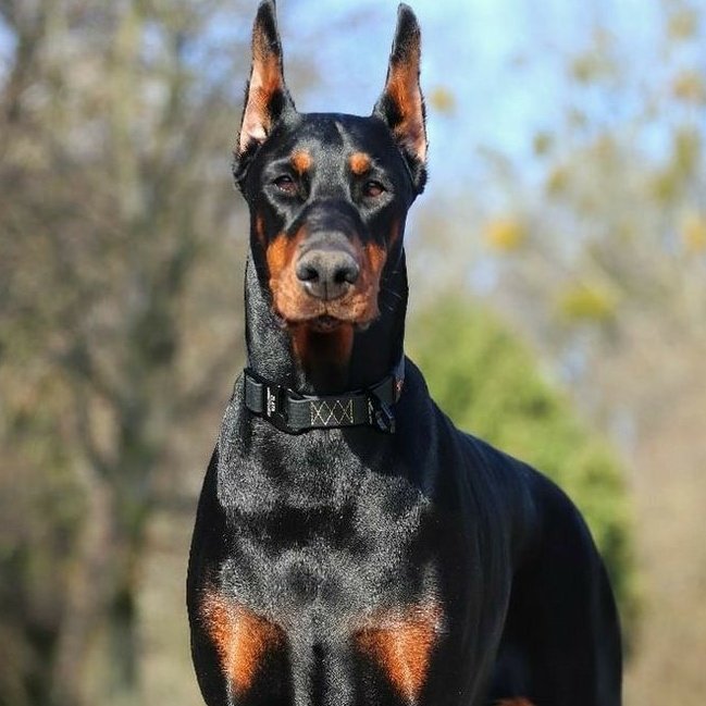 Kilan 💤 tweet media