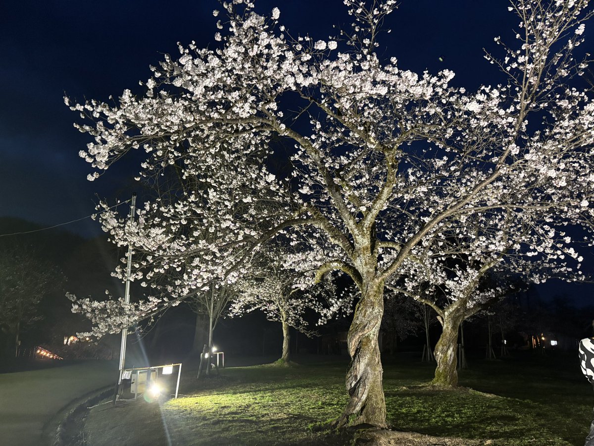 太田りゅーや tweet media