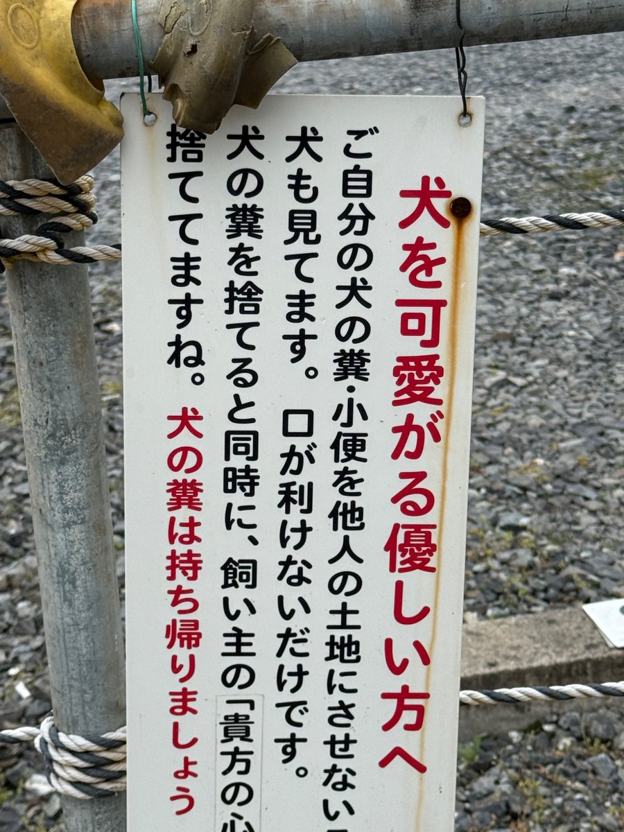 六辻羊(muthujihitsuji) tweet media