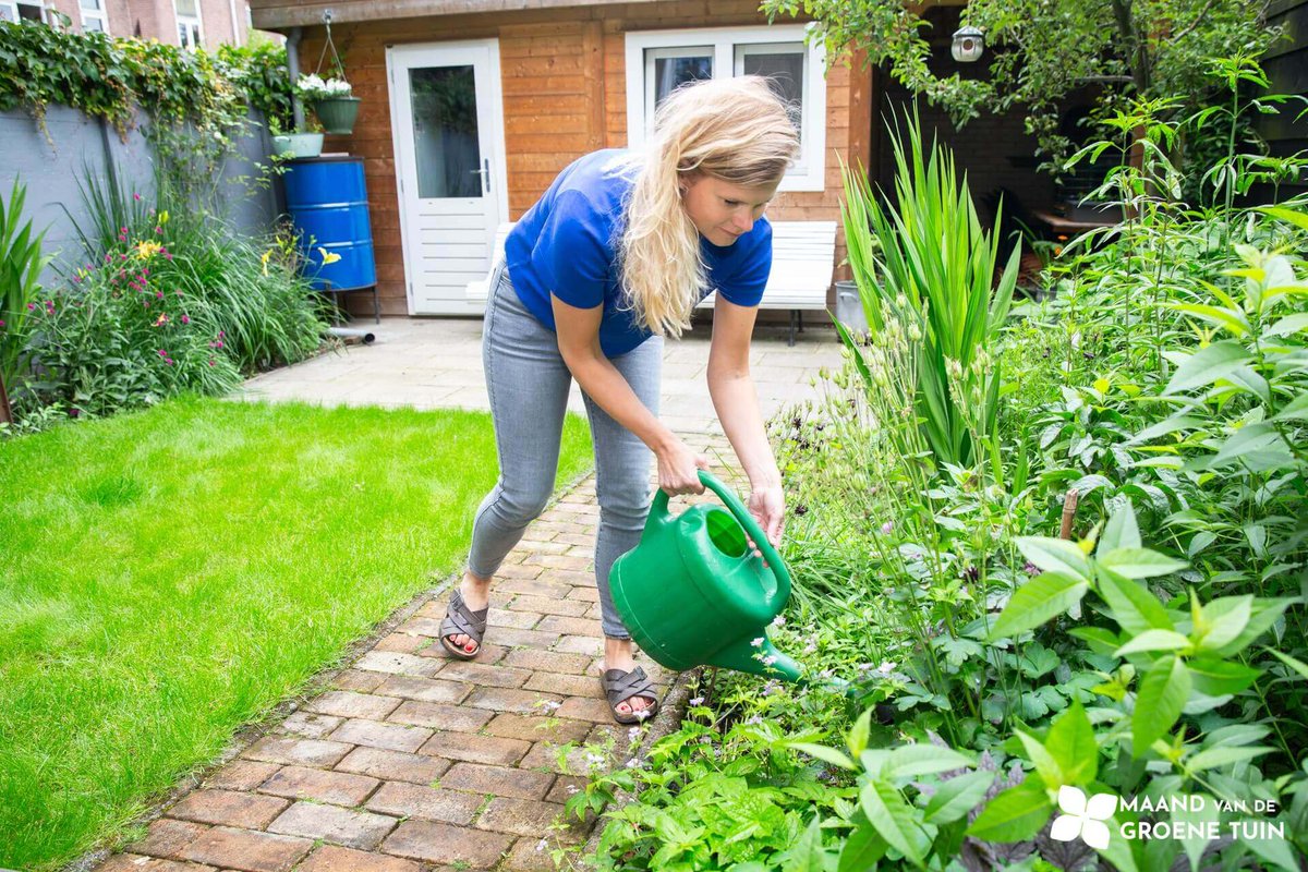 Hattem24.nl 🧡 tweet media