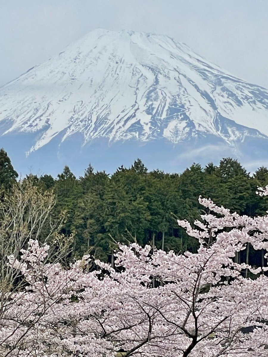 Alice_Chocolat tweet media