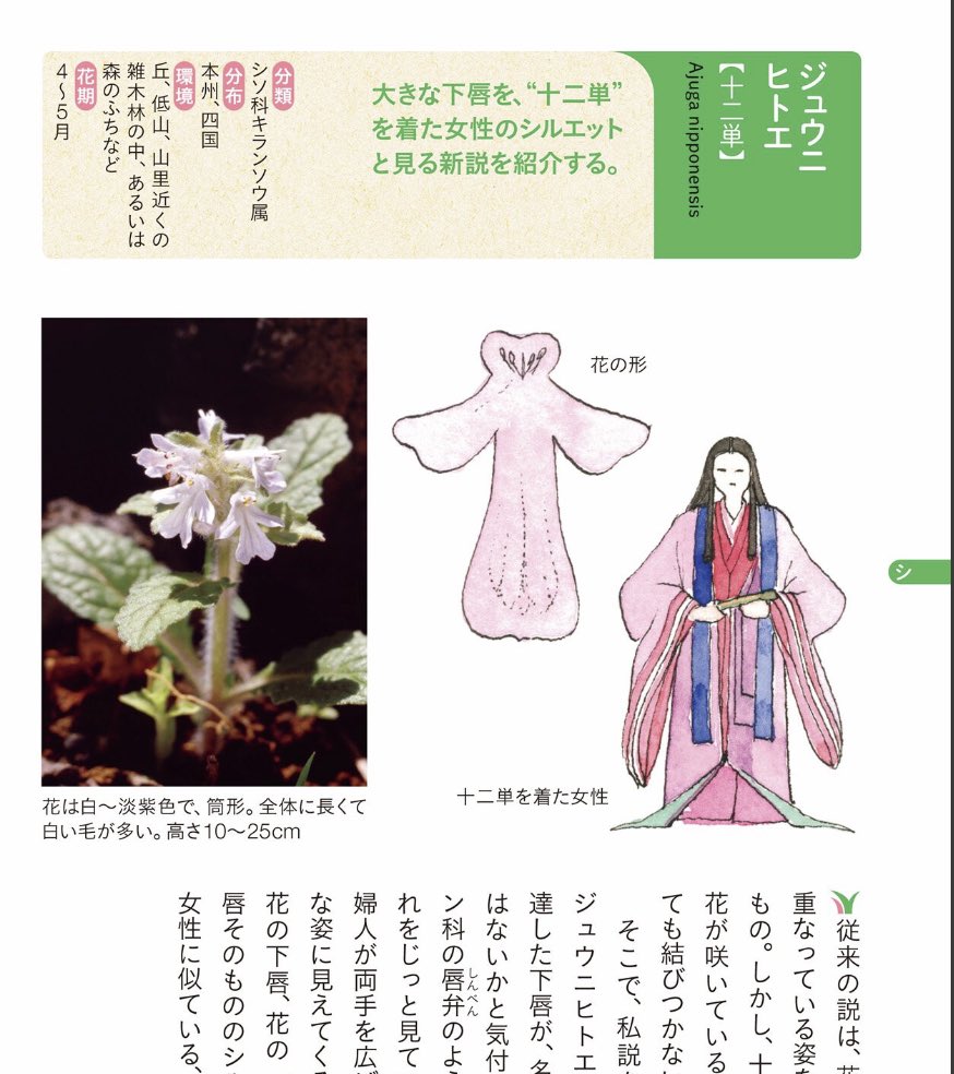 山と溪谷社いきもの部 tweet media