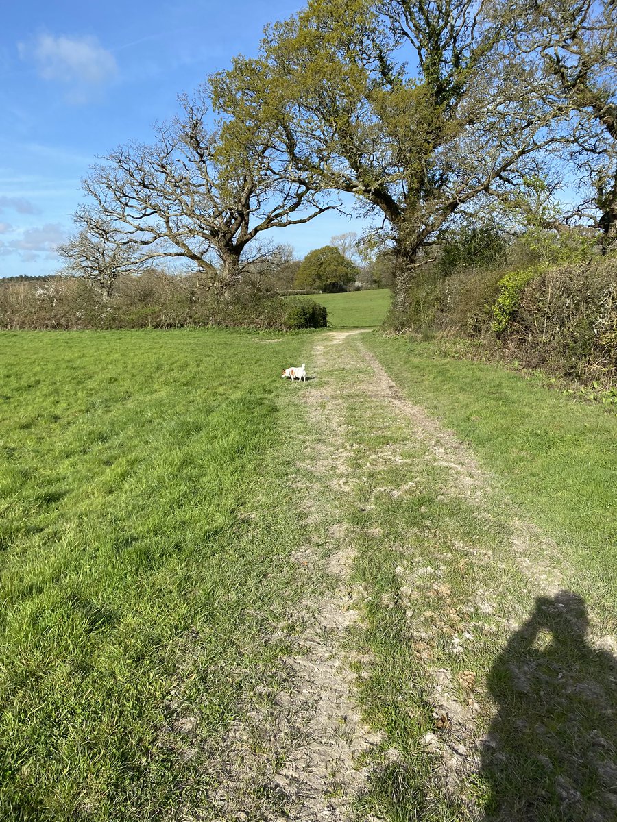 Maggie Jones ⚡️ tweet media