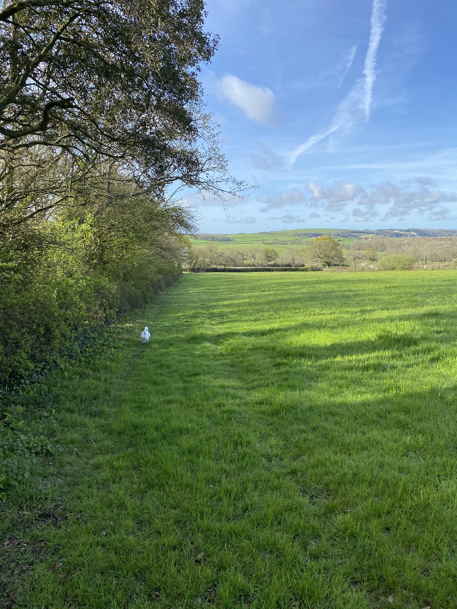 Maggie Jones ⚡️ tweet media