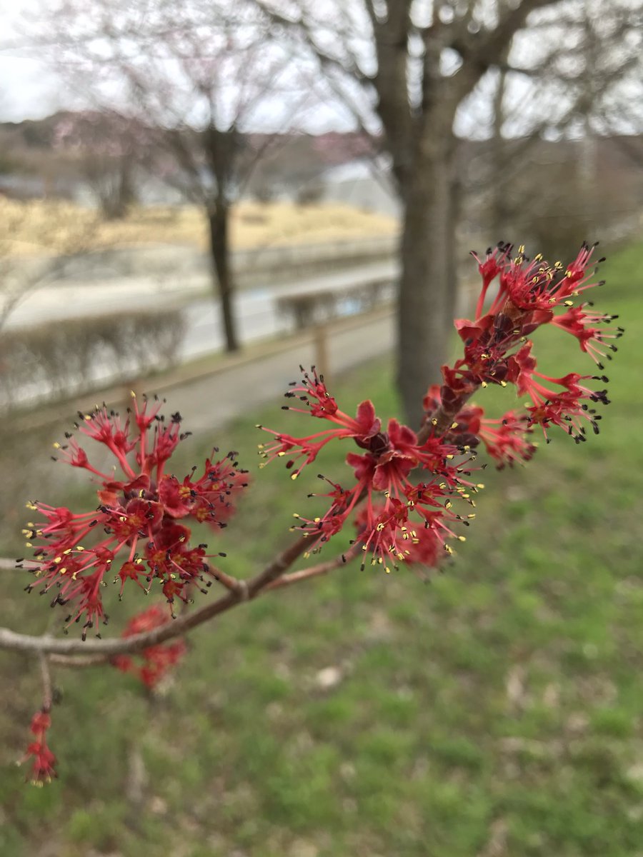 ヨリィ tweet media