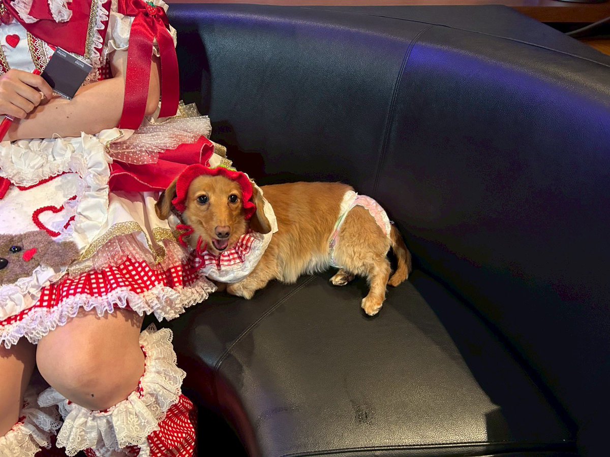 えるちん tweet media