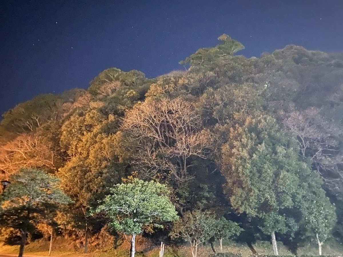 この山はどこの城じゃ？

#城の日　

これ当てられたらもう儂の負けじゃ！