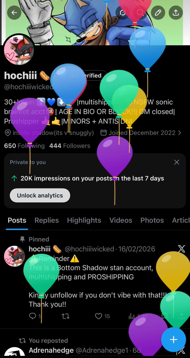 hochiii 🌭 tweet media