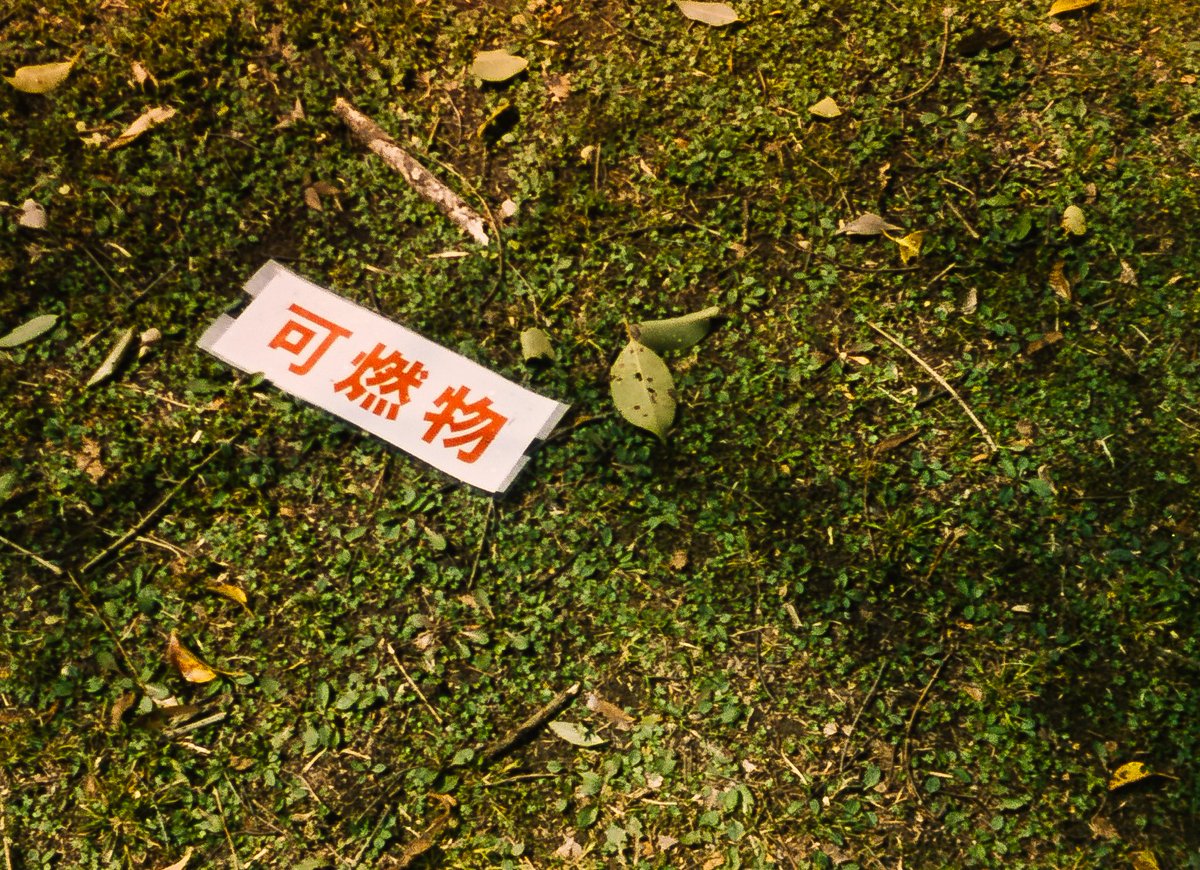 minolta16Ⅱでも同じ構図で1枚。