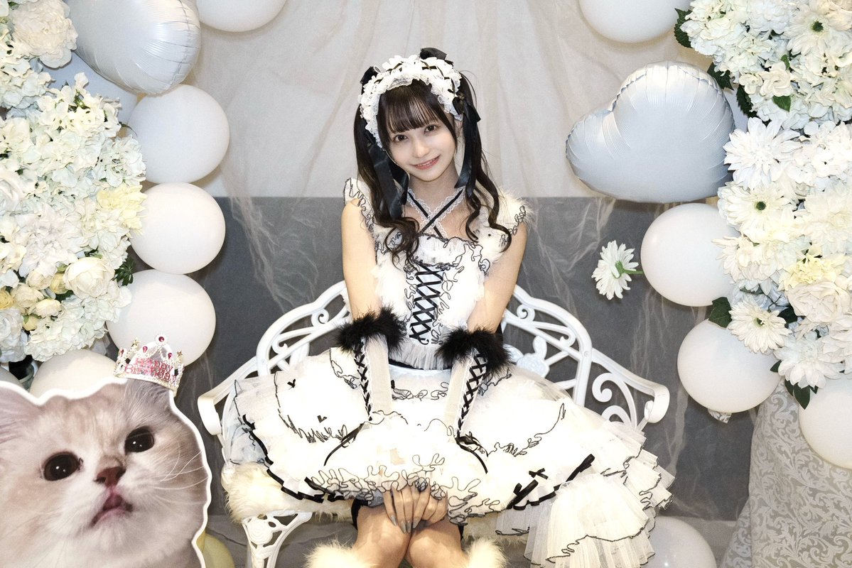 ふうか【シュレ犬】 tweet media