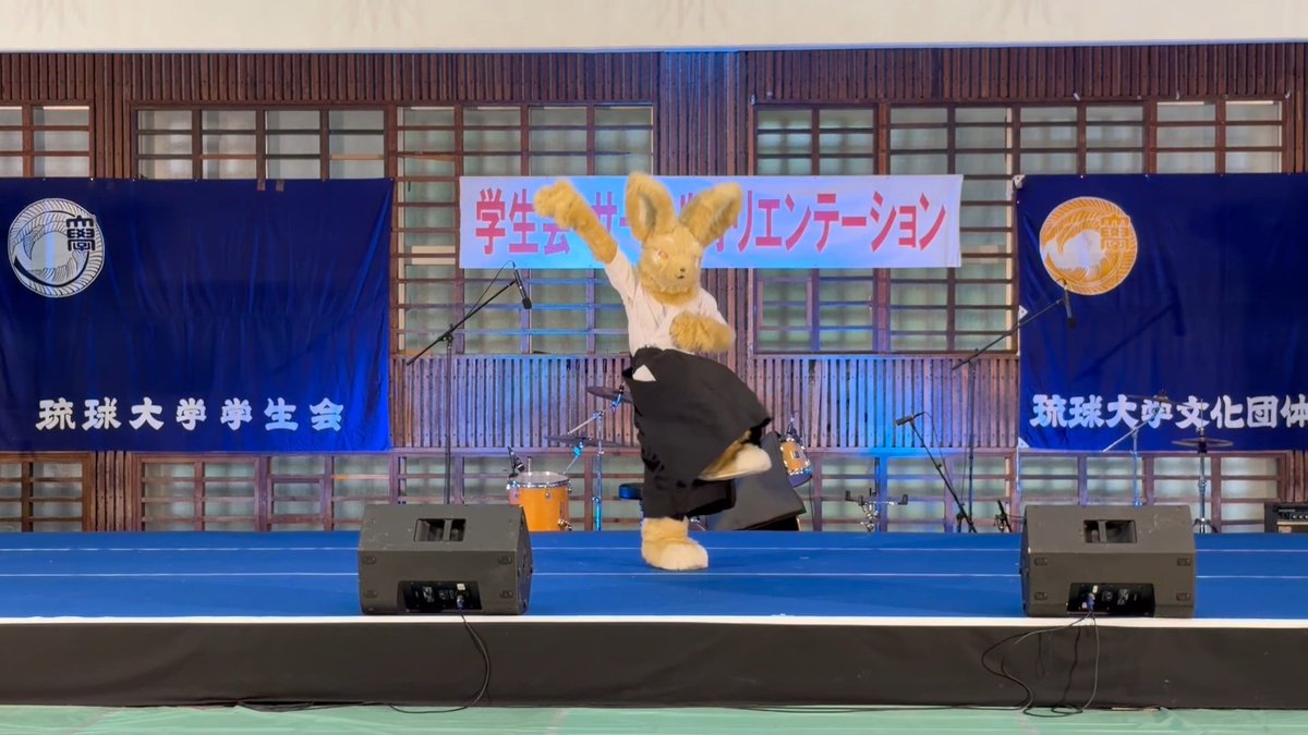 RyuMoFu's tweet photo. サークルオリエンテーション1日目が終了しました🐾
今回はサークルオリエンテーションで初めてのステージで、びっつくんが緊張しつつも頑張ってダンスを踊っていました🐰
2日目はステージでの演武はありませんが、びっつくんが来てくれるとのことなので、新入生の皆様、お待ちしております！
#RyuMoFu https://t.co/bwIwAcvYF3