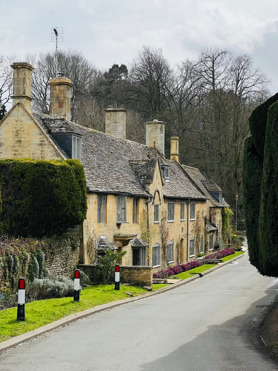 CityVibesX tweet media