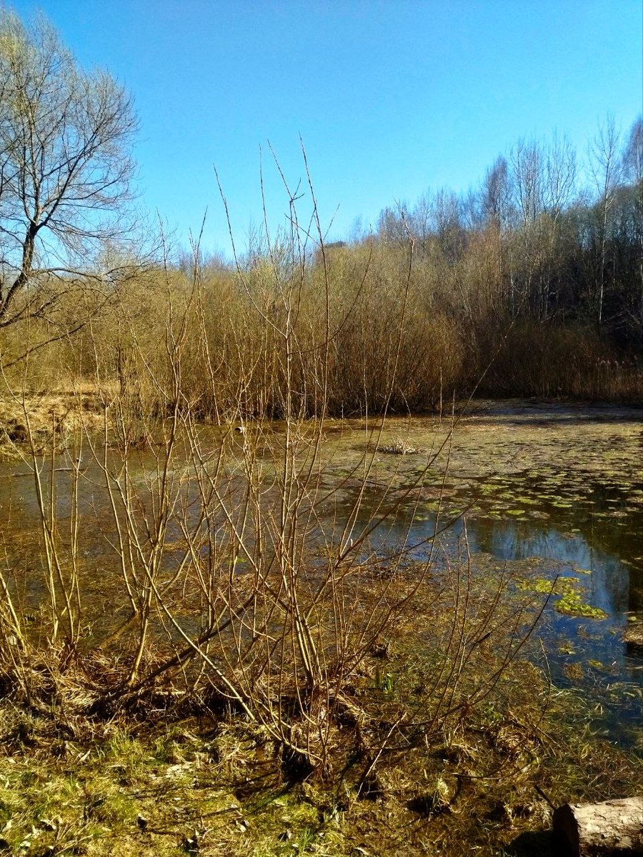 Господин Воронова Крыла tweet media