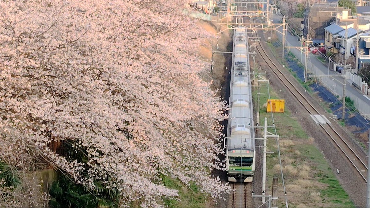 【公式】イッツコムチャンネル tweet media