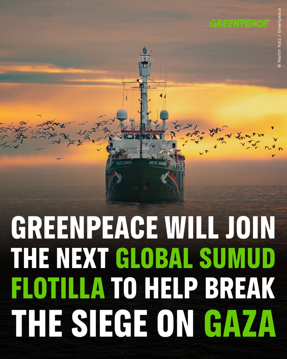 Greenpeace Malaysia tweet media