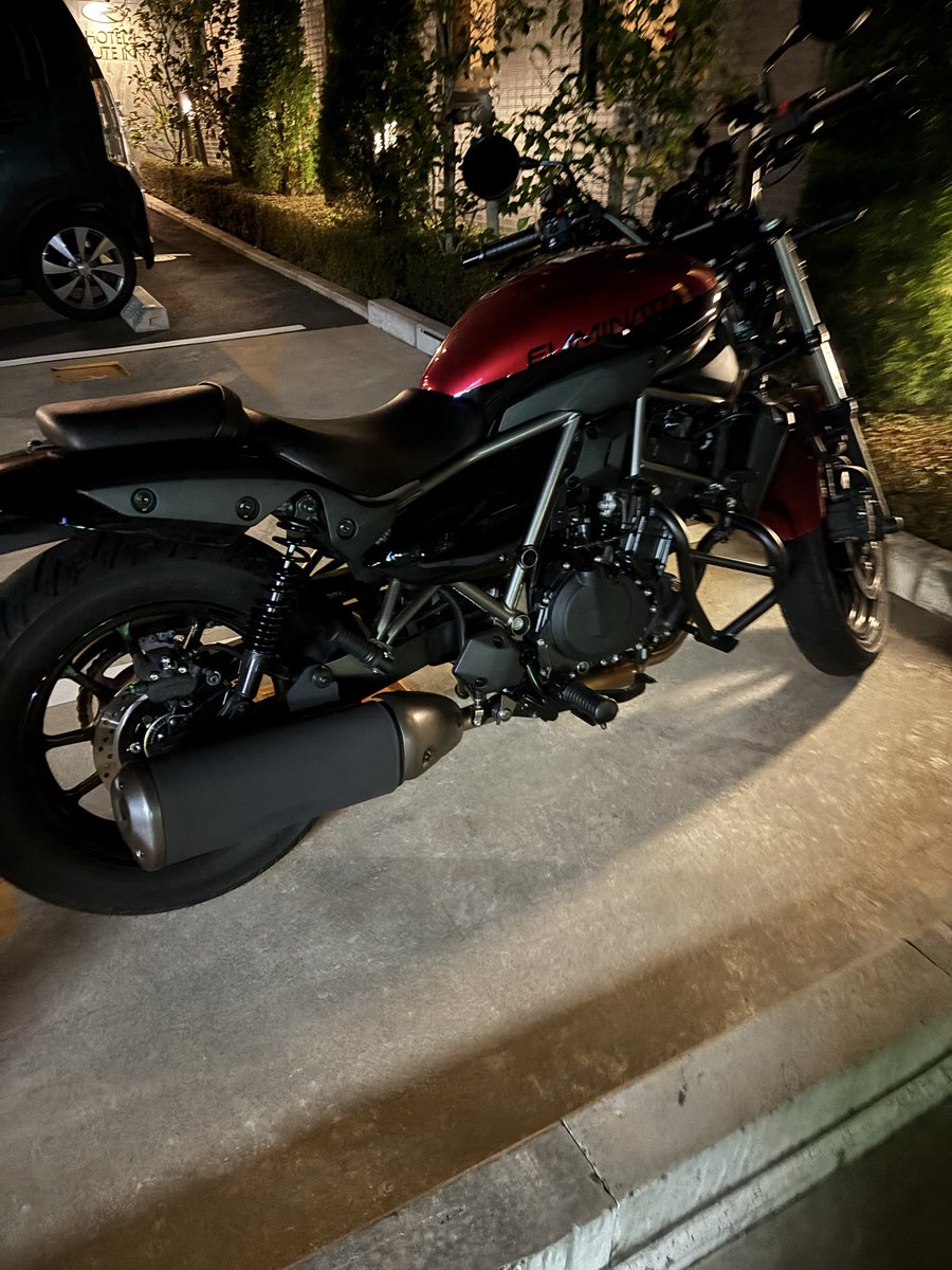 たちごけ tweet media