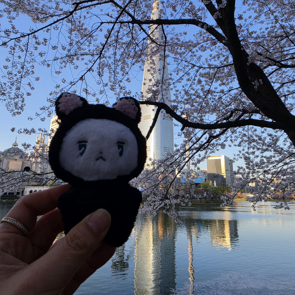 김아로리(slow) tweet media